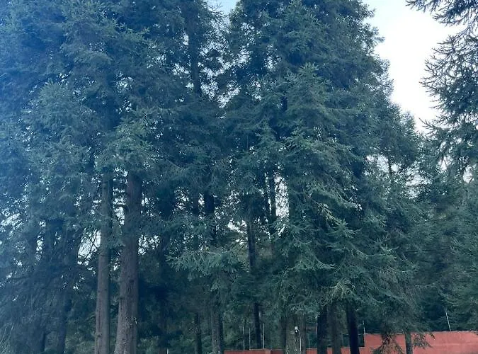 Сasa de vacaciones Rancho Emisajumi El Ajusco México DF