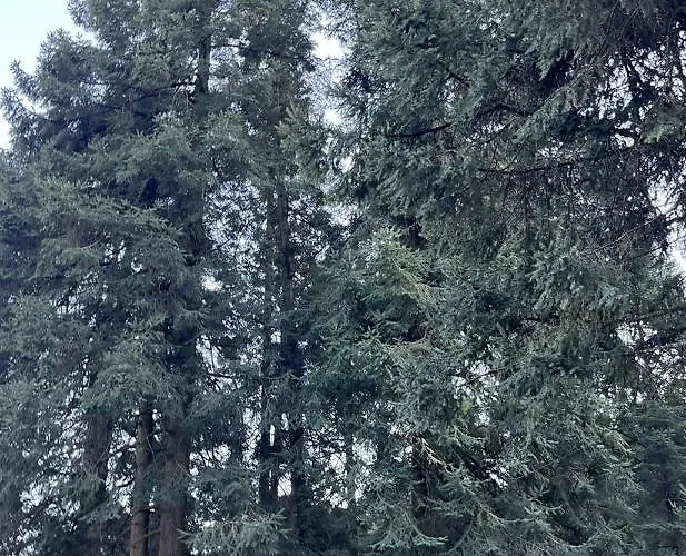 Сasa de vacaciones Rancho Emisajumi El Ajusco